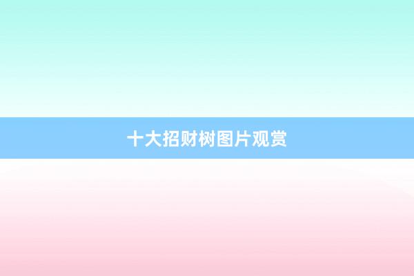 十大招财树图片观赏