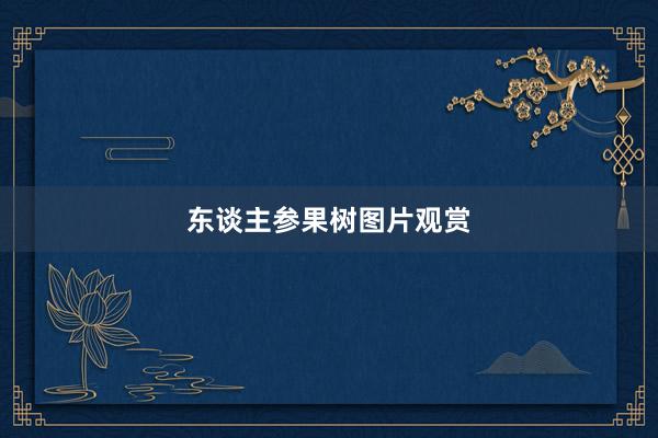 东谈主参果树图片观赏
