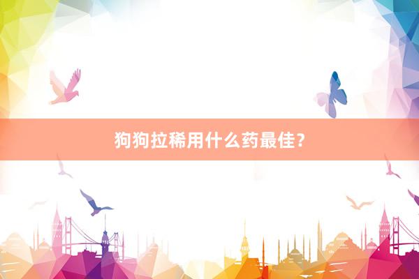 狗狗拉稀用什么药最佳？